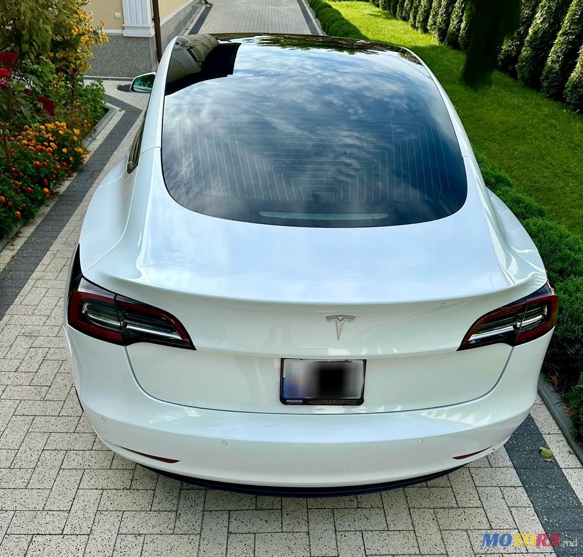 2019' Tesla Model 3 photo #3