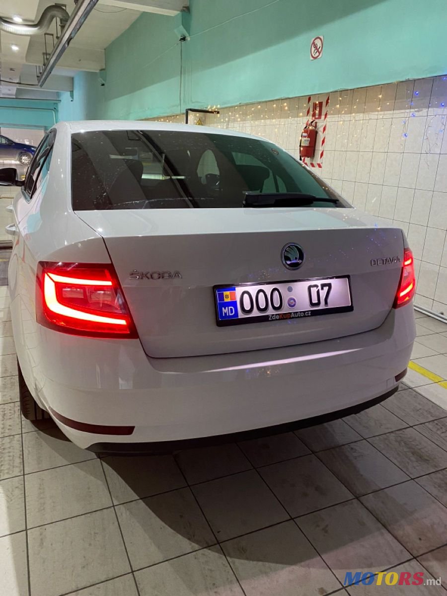 2018' Skoda Octavia photo #3
