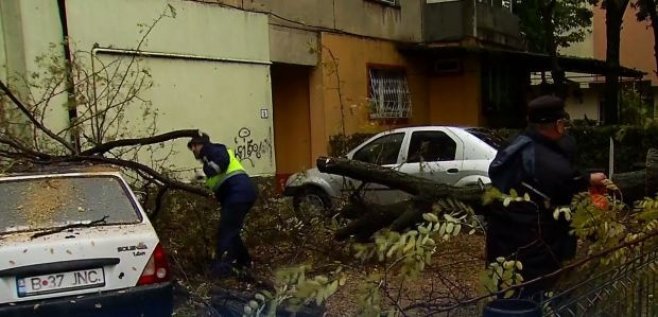 Vijelia a făcut prăpăd în București. Un mort, doi răniți și zeci de mașini distruse