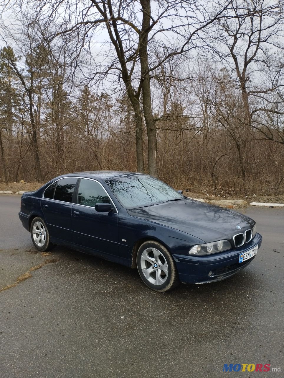 2001' BMW 5 Series photo #1