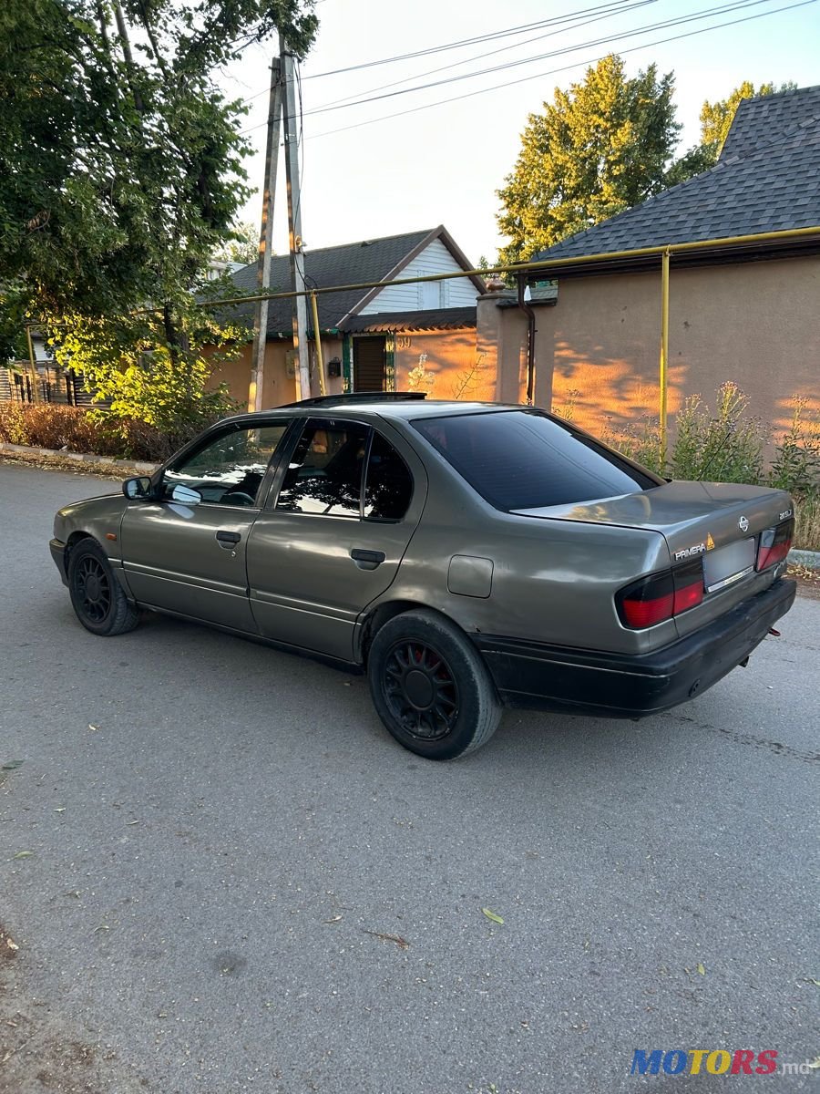 1993' Nissan Primera photo #6
