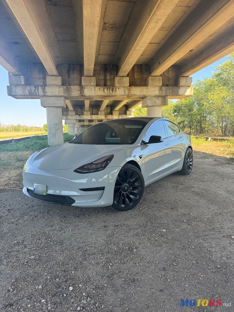 2019' Tesla Model 3 photo #1