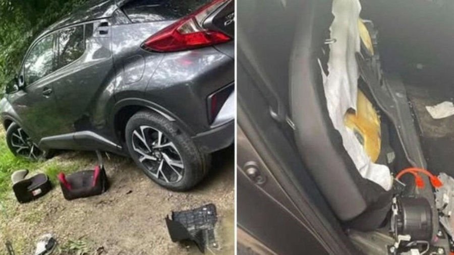 В Кагульском районе прокатилась волна краж аккумуляторов с гибридных авто