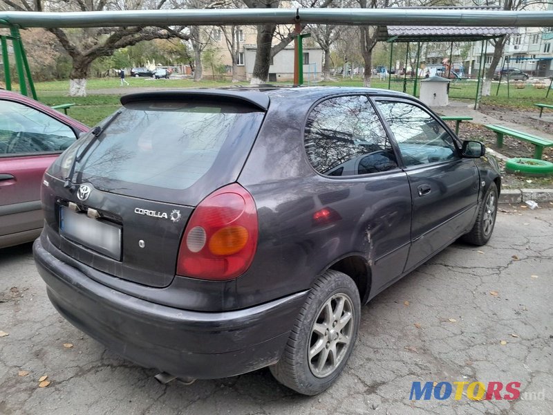 1999' Toyota Corolla photo #1