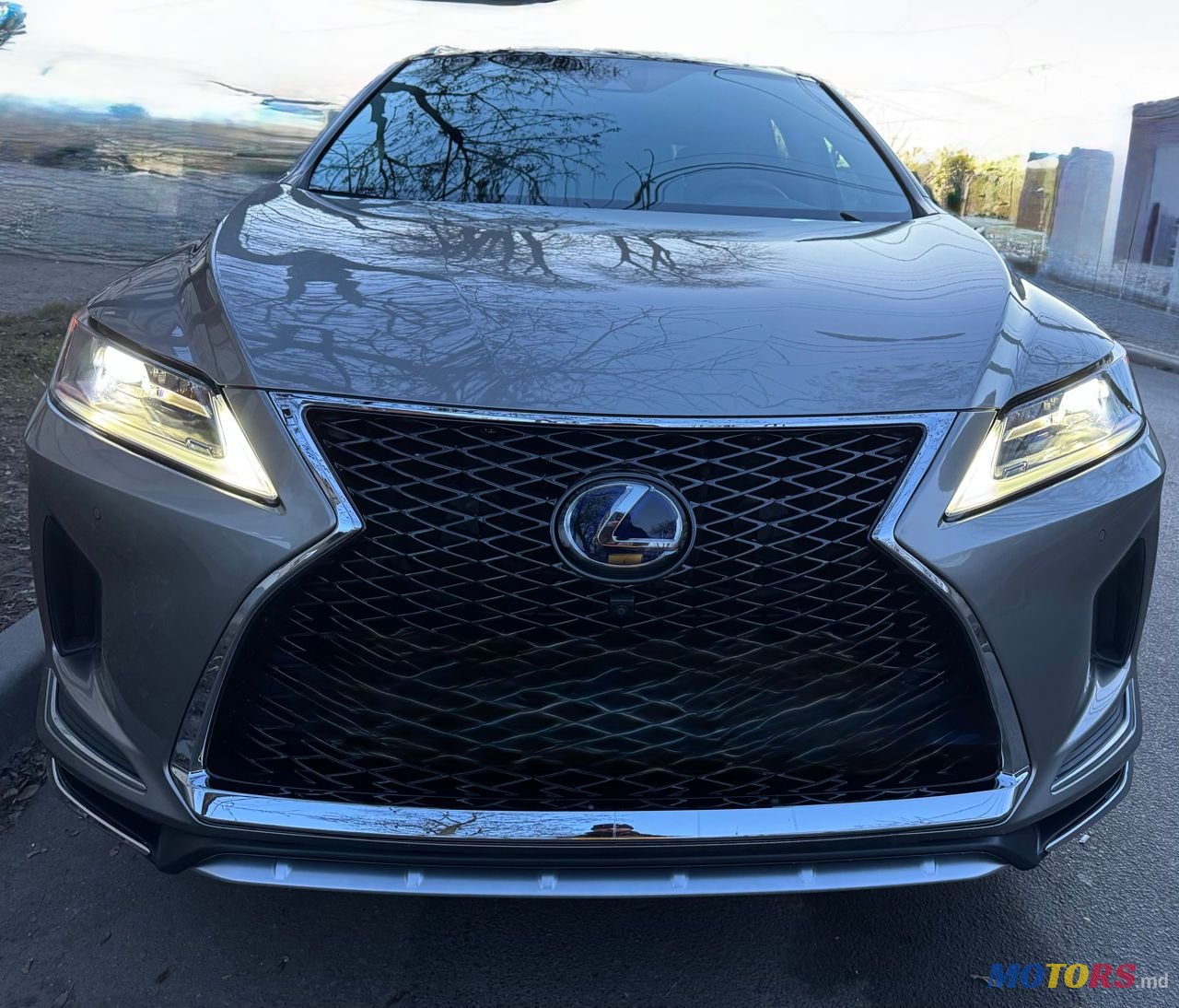 2021' Lexus Rx Series photo #4
