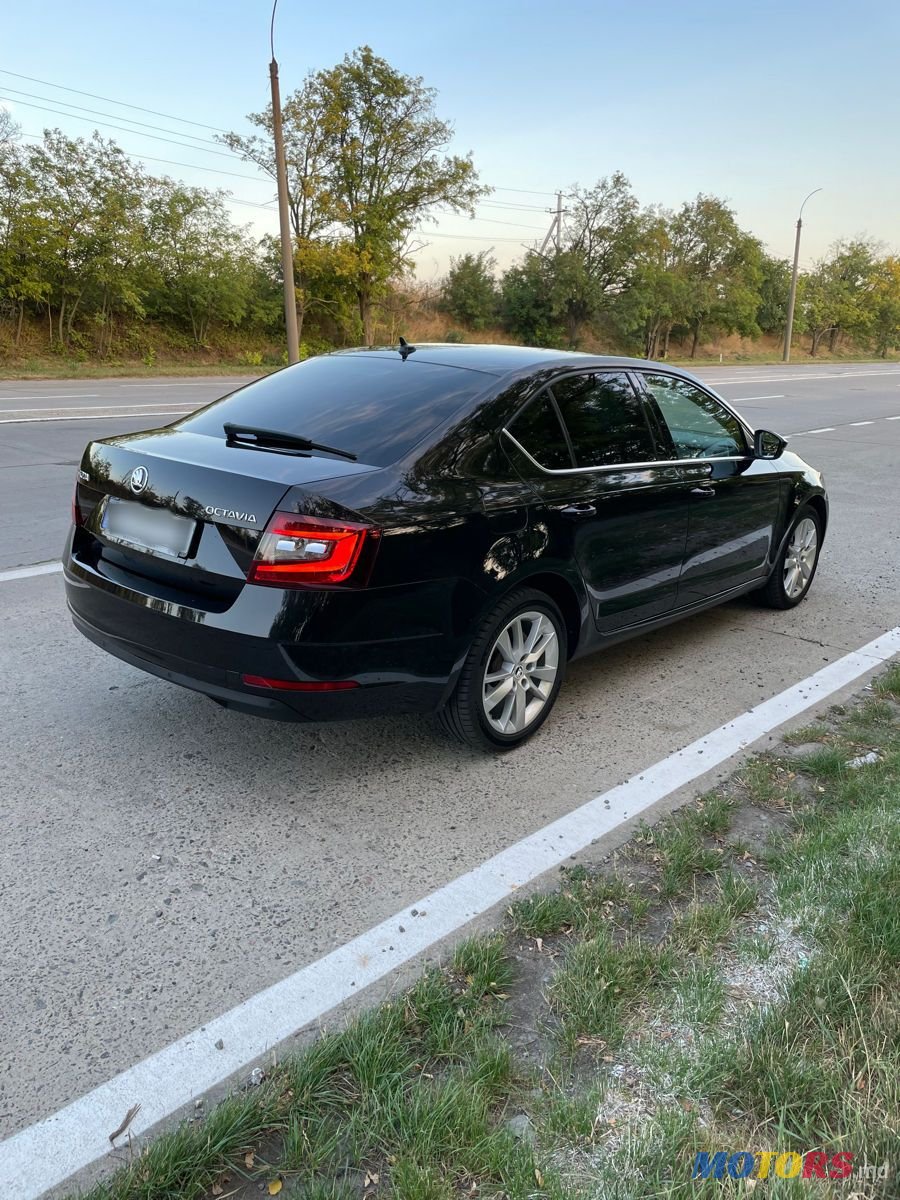 2017' Skoda Octavia photo #5