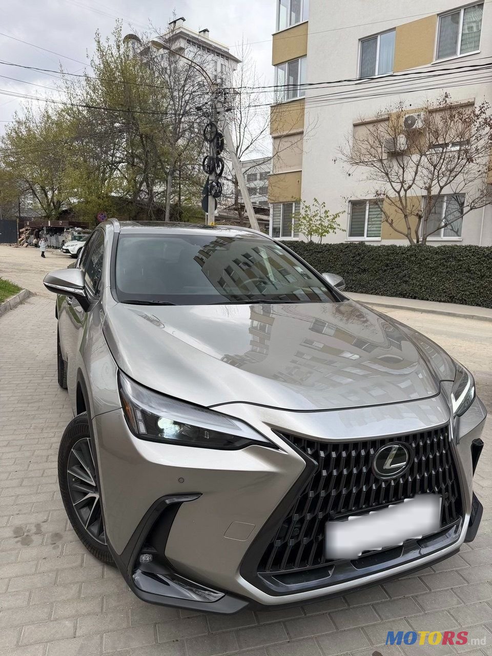 2023' Lexus Nx Series photo #2