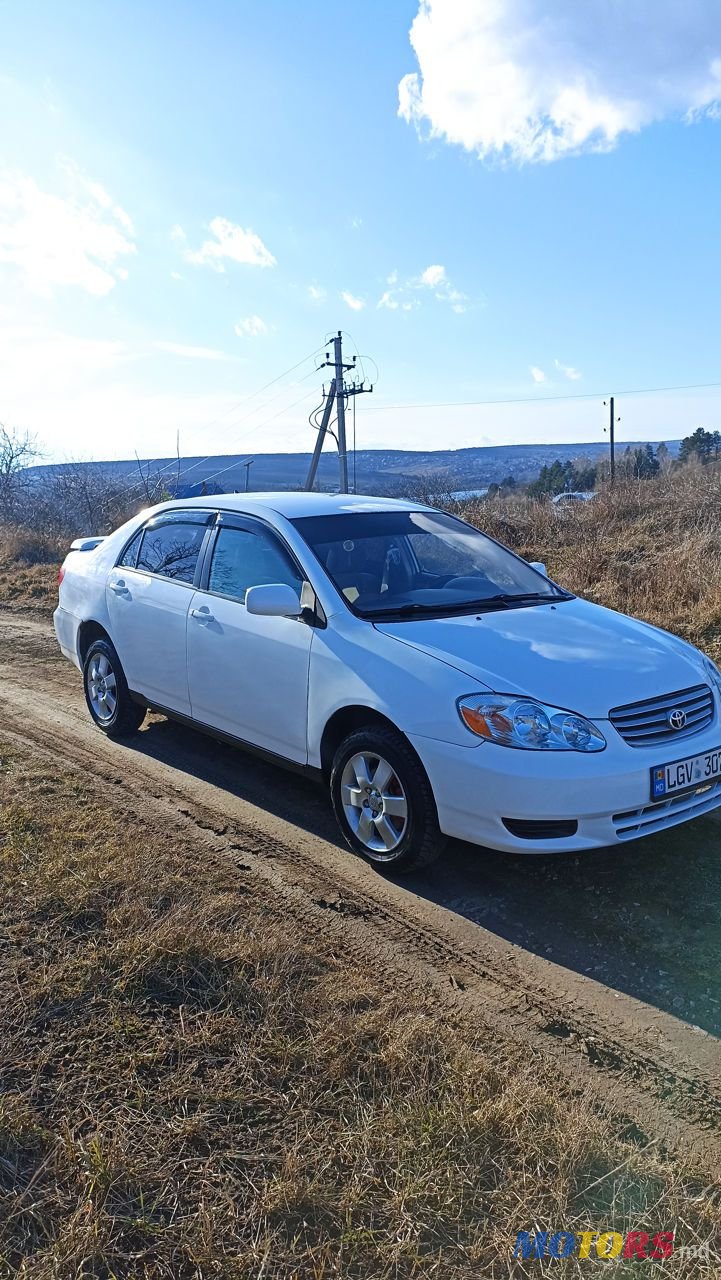2004' Toyota Corolla photo #2
