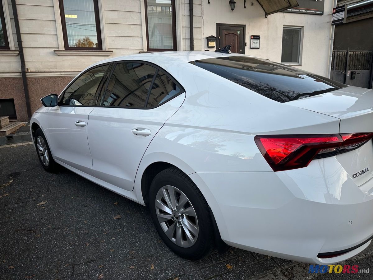 2024' Skoda Octavia photo #4