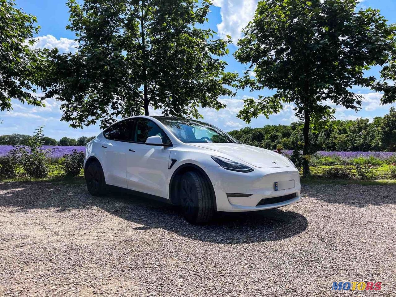 2021' Tesla Model Y photo #6