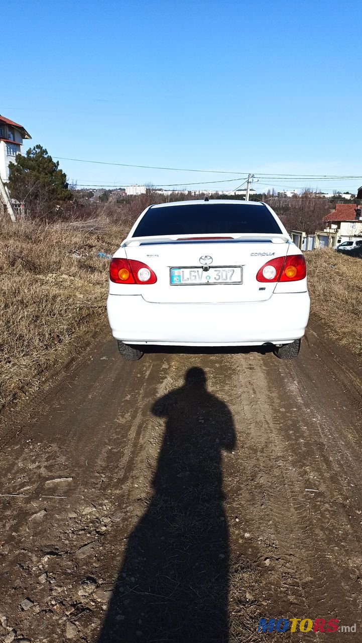 2004' Toyota Corolla photo #3