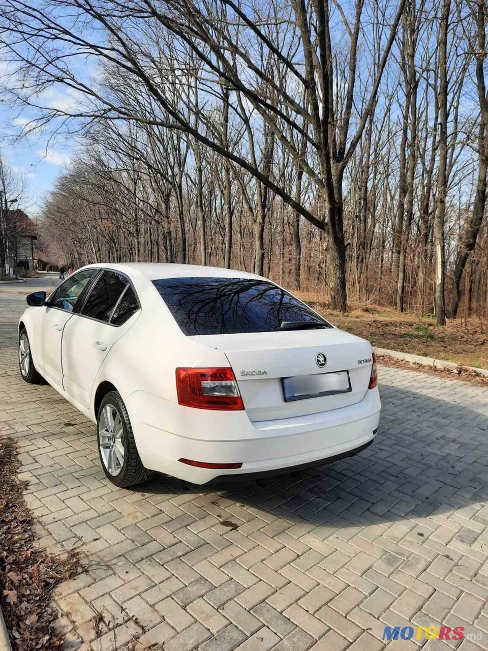 2019' Skoda Octavia photo #5