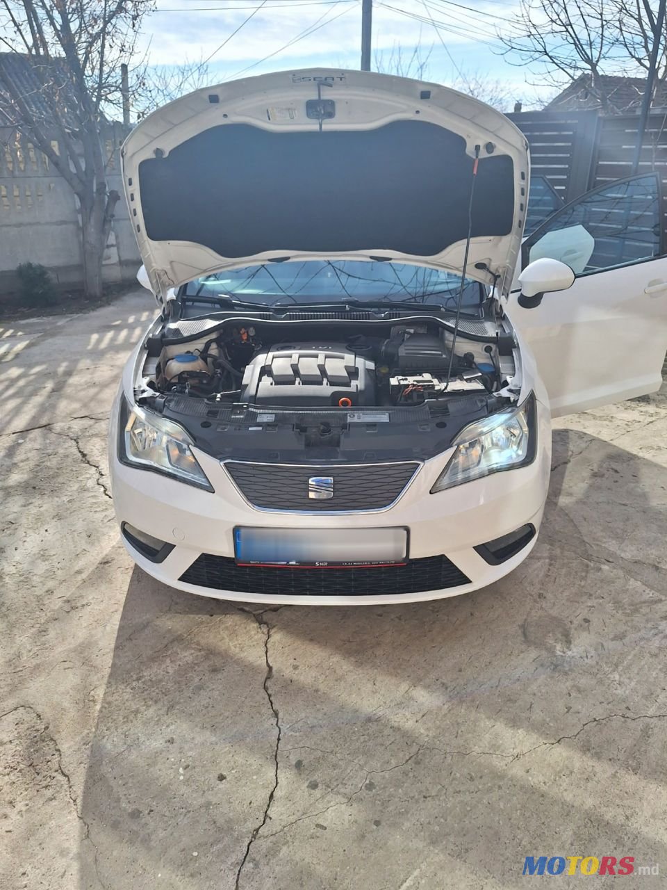 2012' SEAT Ibiza photo #4