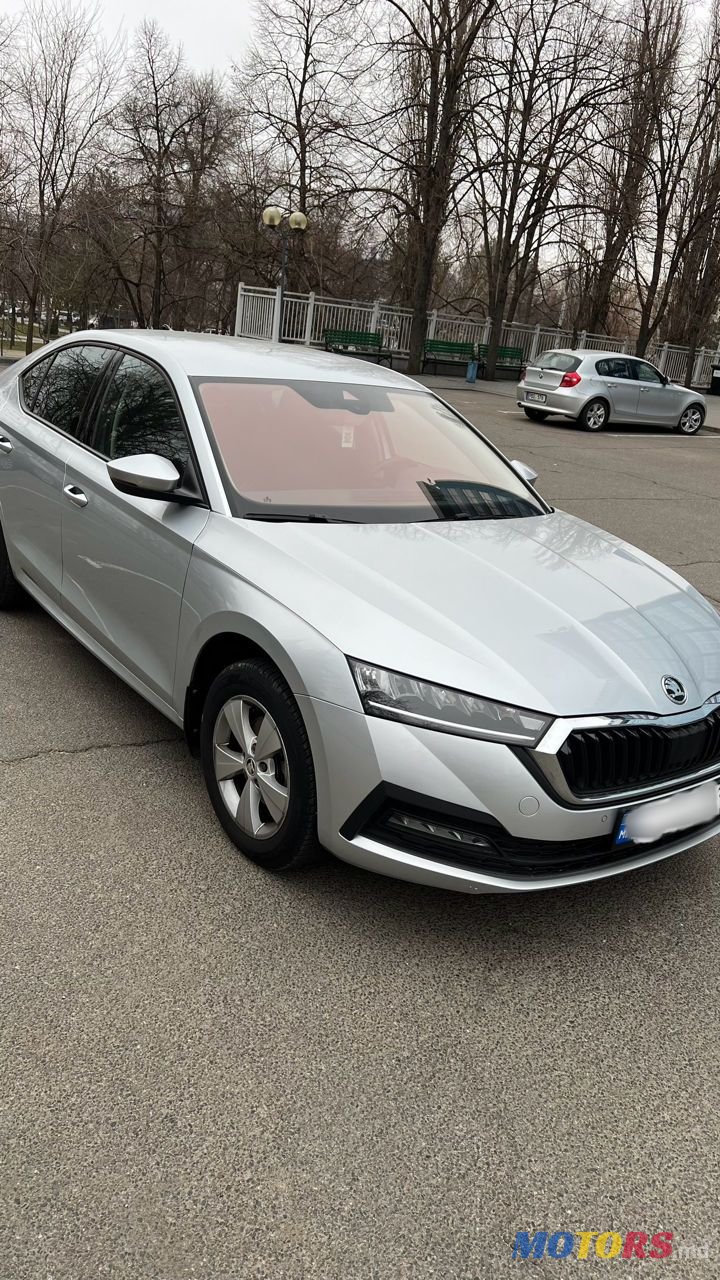 2021' Skoda Octavia photo #3