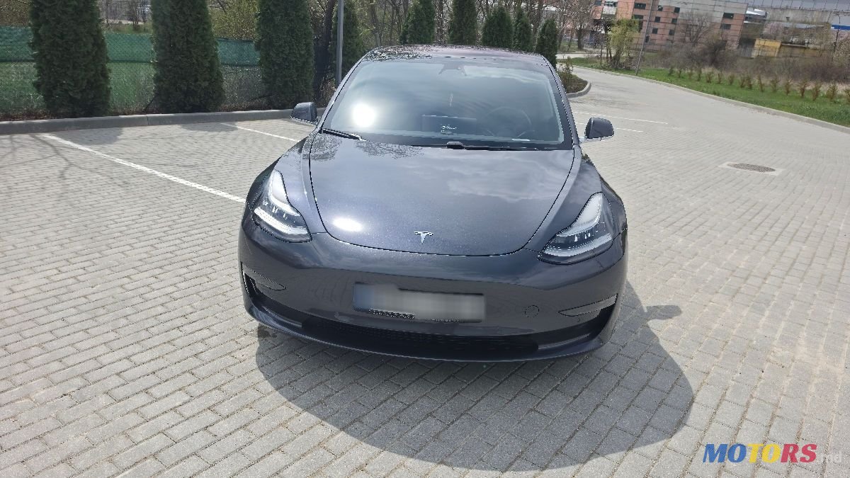 2019' Tesla Model 3 photo #1