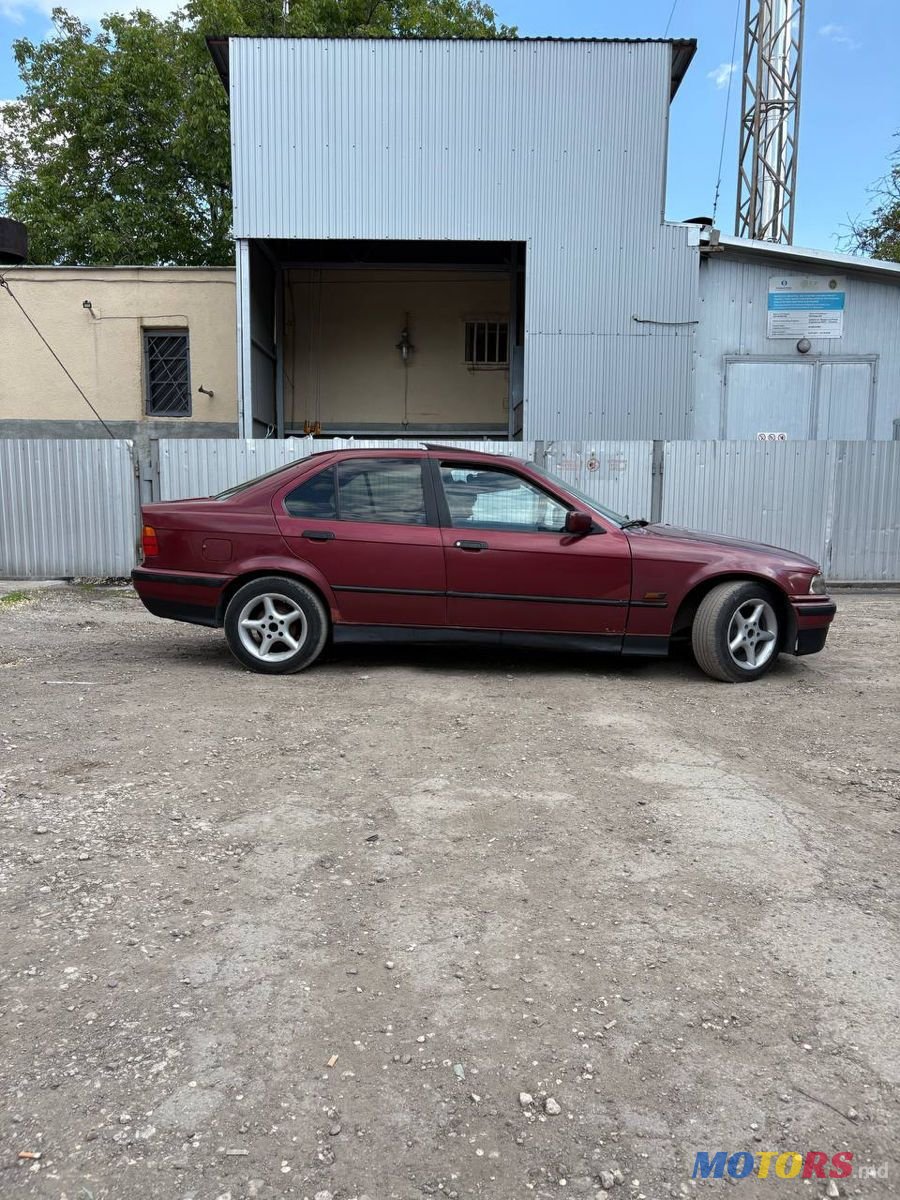 1995' BMW 3 Series photo #5