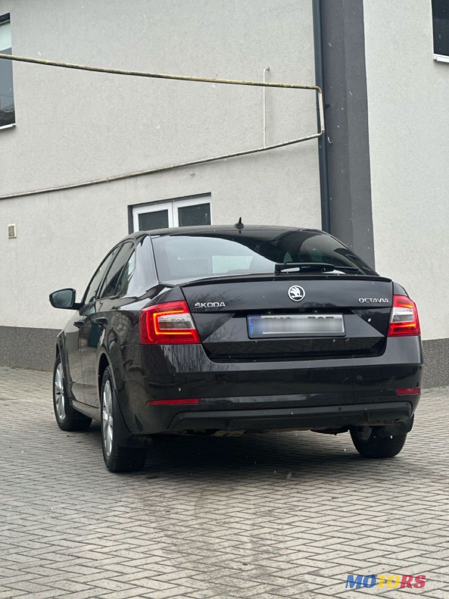 2019' Skoda Octavia photo #2