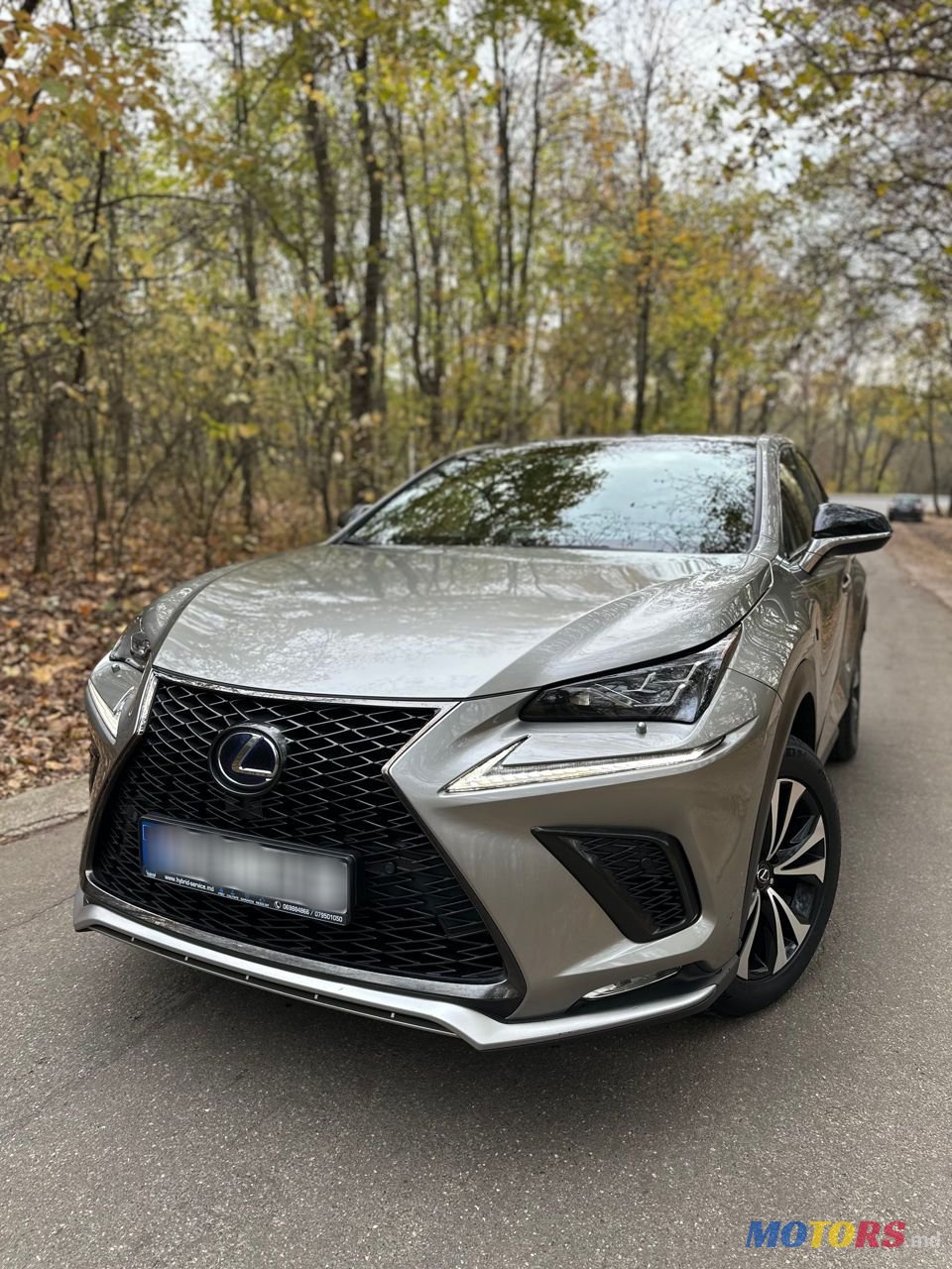 2019' Lexus Nx Series photo #1