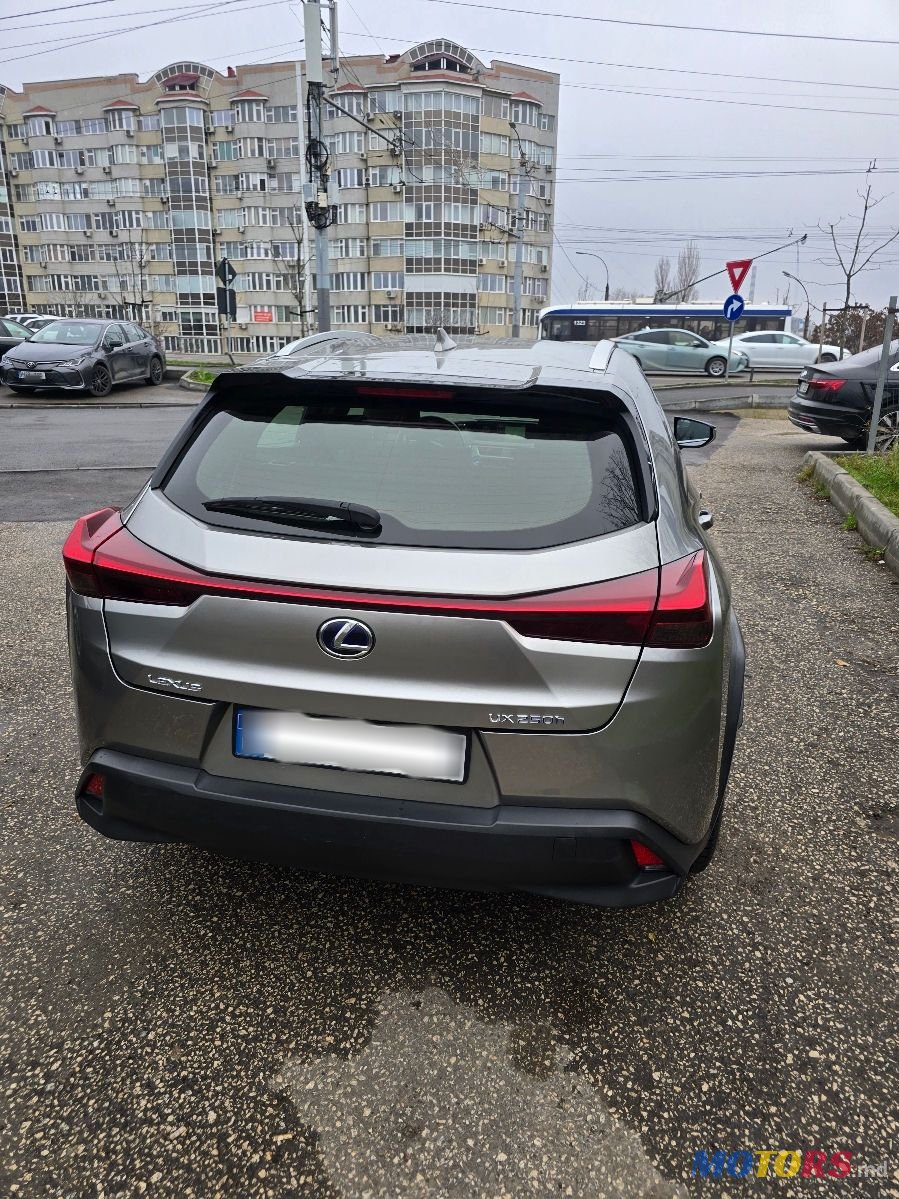 2019' Lexus UX photo #2