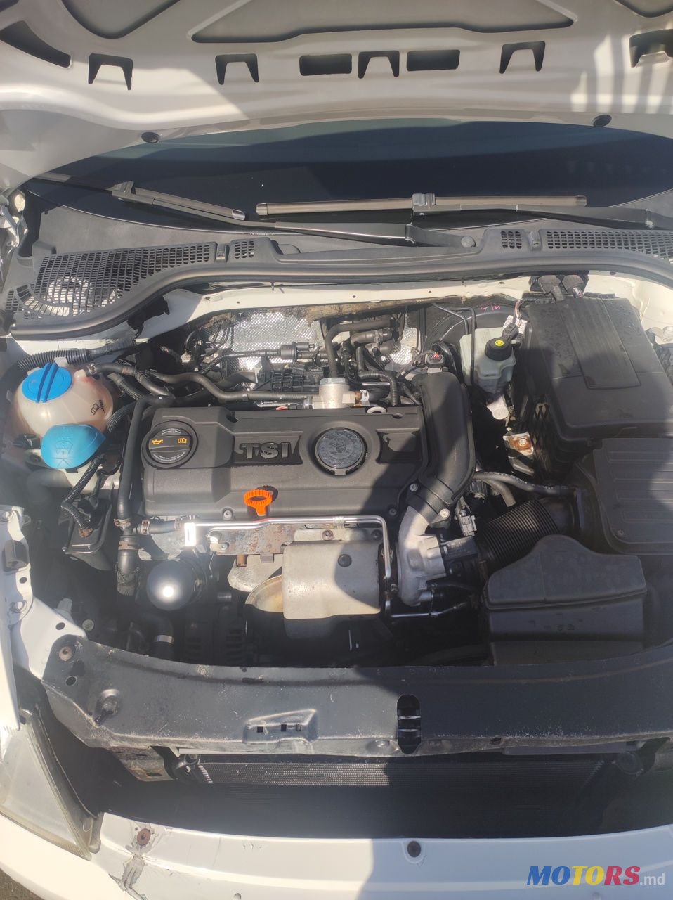 2009' Skoda Octavia photo #5