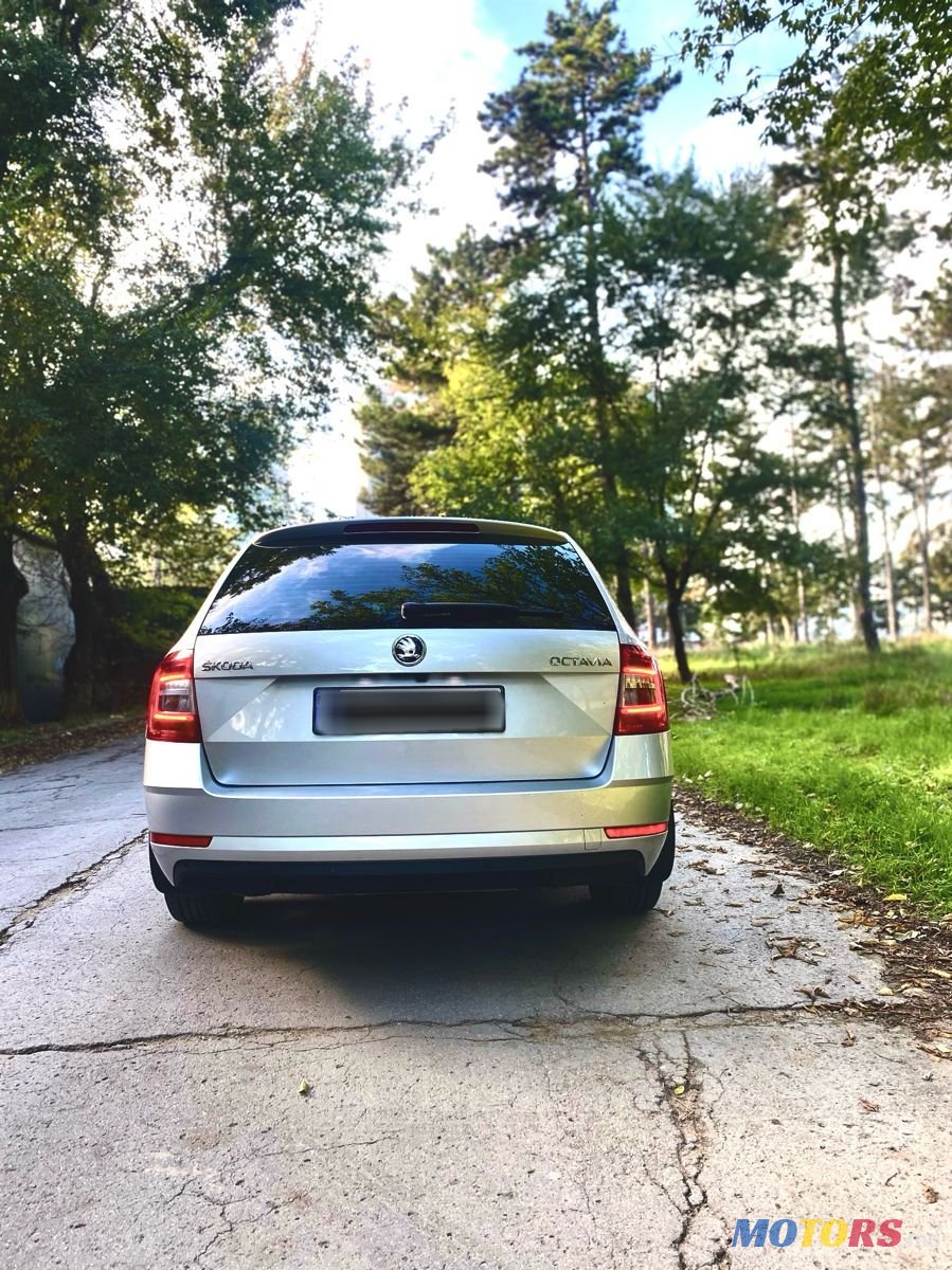 2020' Skoda Octavia photo #5