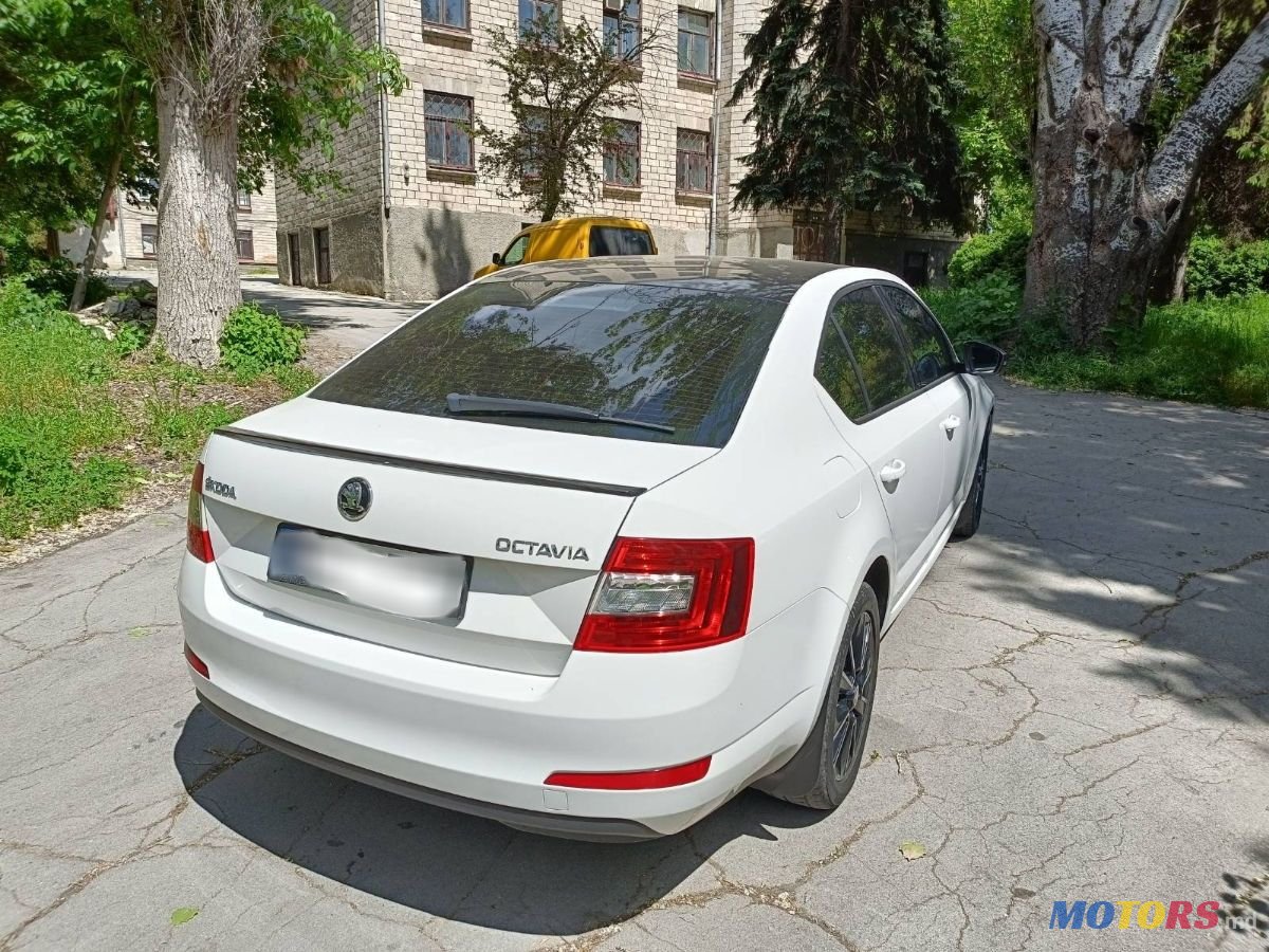 2014' Skoda Octavia photo #3