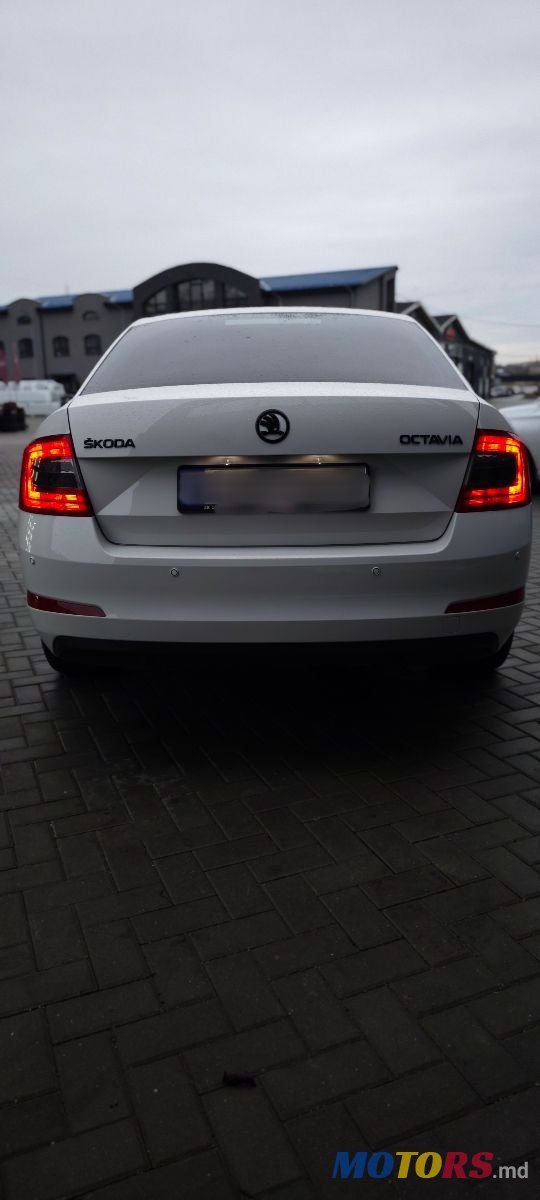 2014' Skoda Octavia photo #3