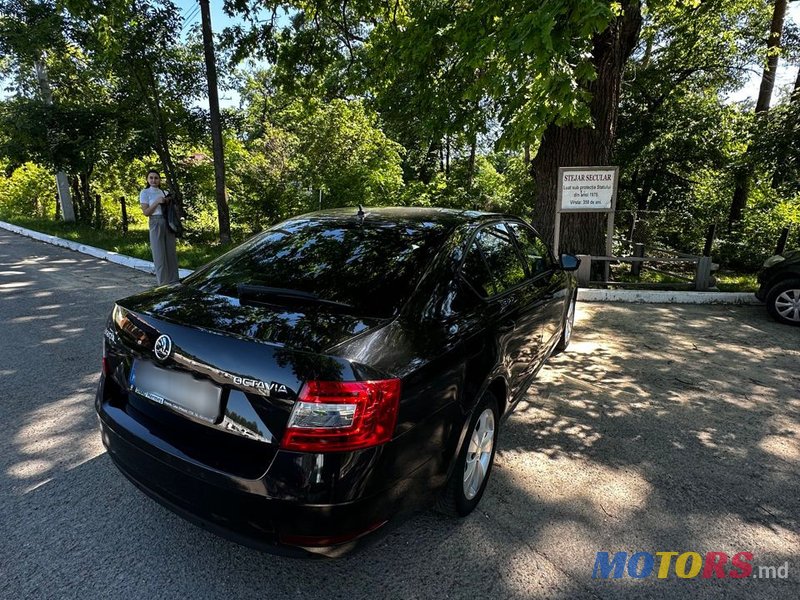 2019' Skoda Octavia photo #4