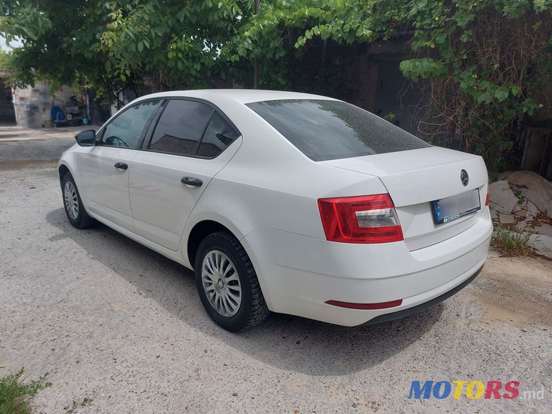 2017' Skoda Octavia photo #1