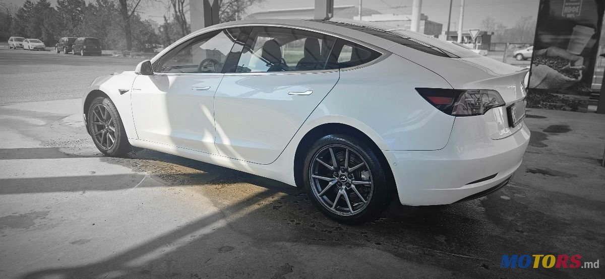 2020' Tesla Model 3 photo #4