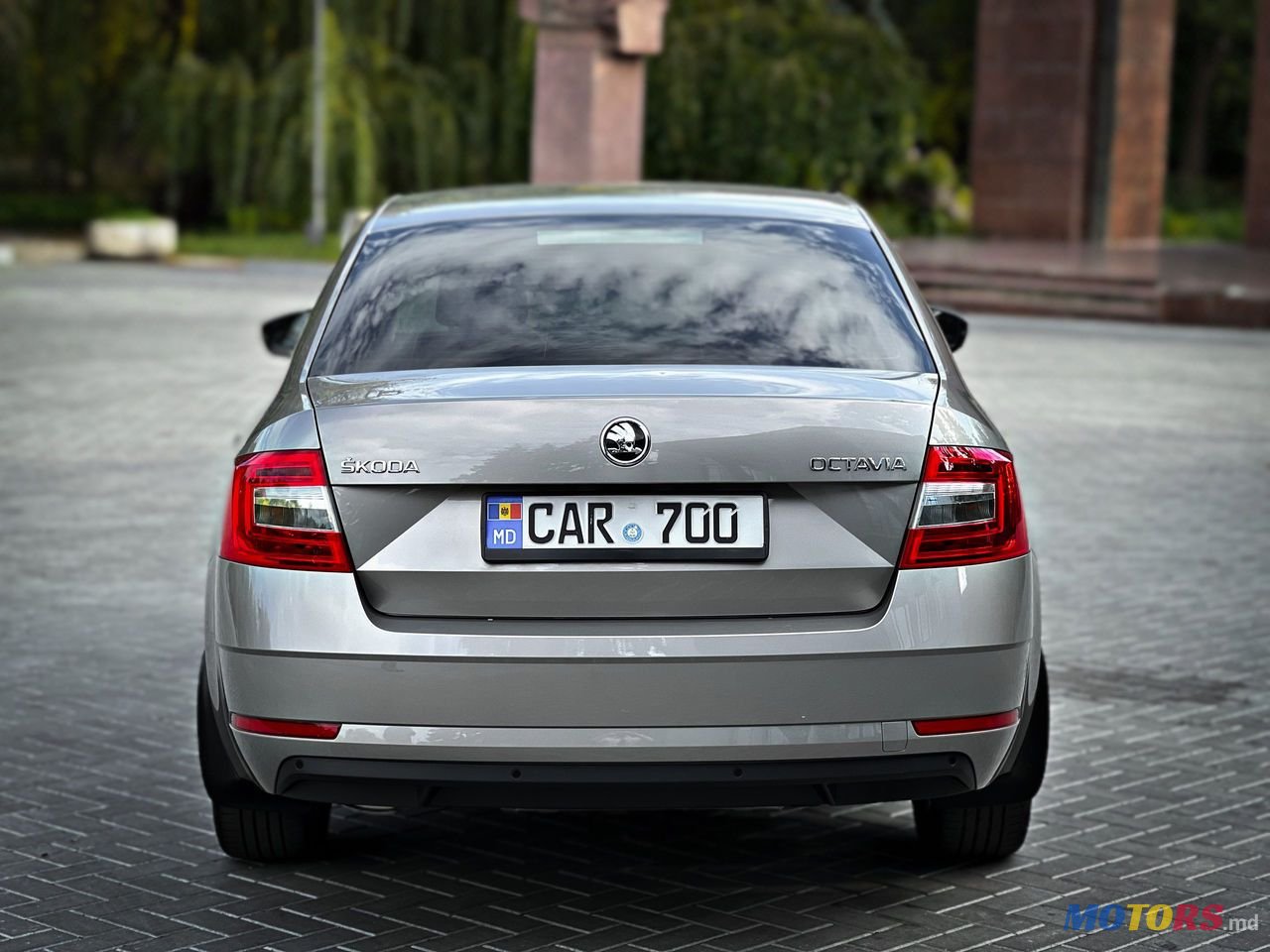 2019' Skoda Octavia photo #5