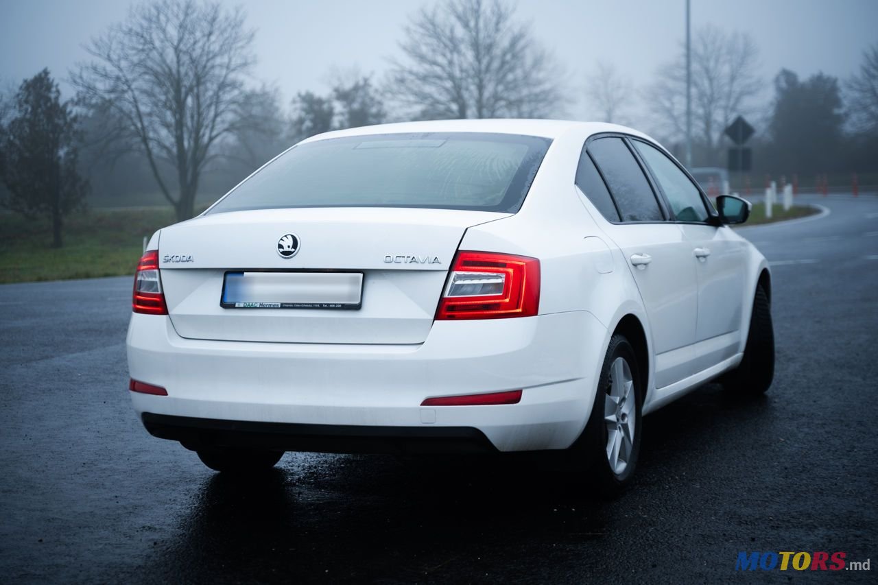 2015' Skoda Octavia photo #5