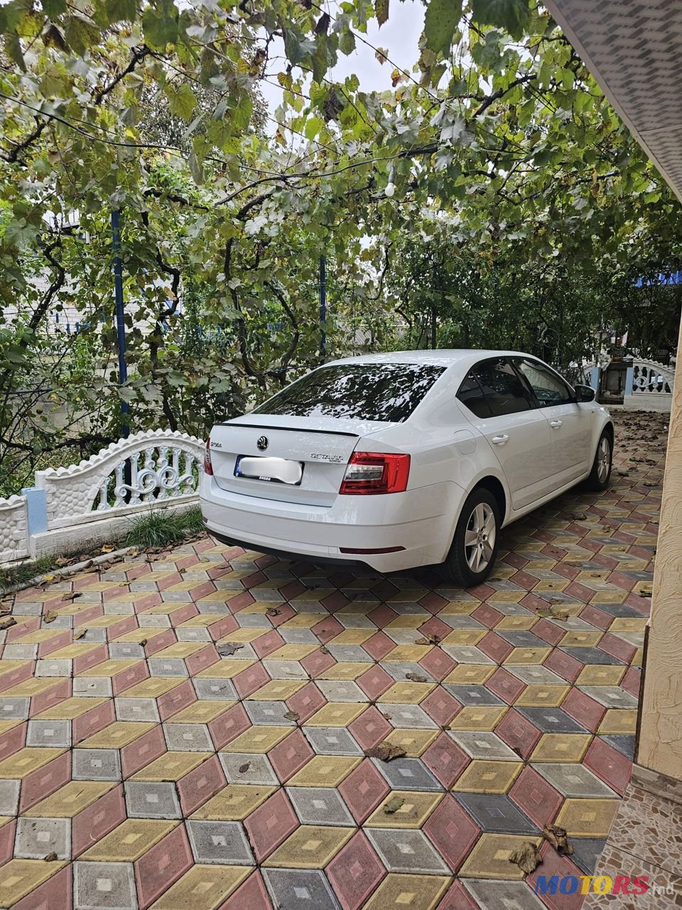 2019' Skoda Octavia photo #1