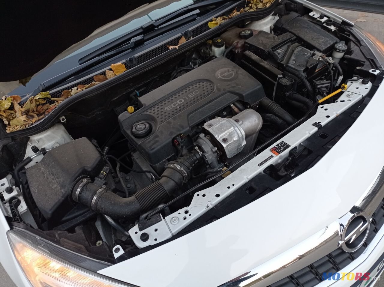 2011' Opel Astra photo #4