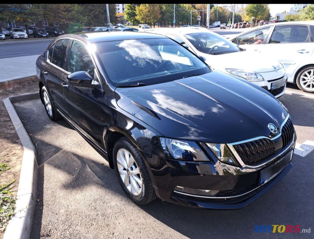 2017' Skoda Octavia photo #2