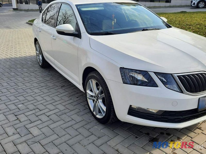 2019' Skoda Octavia photo #1