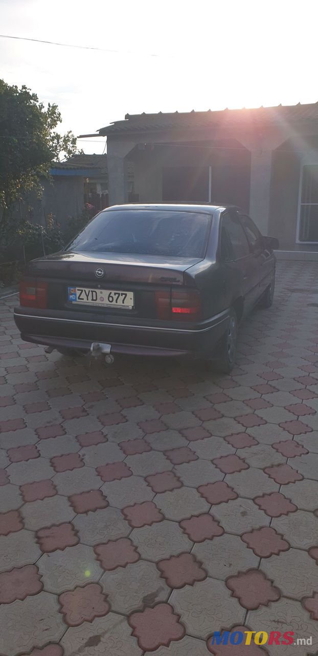 1995' Opel Vectra photo #4