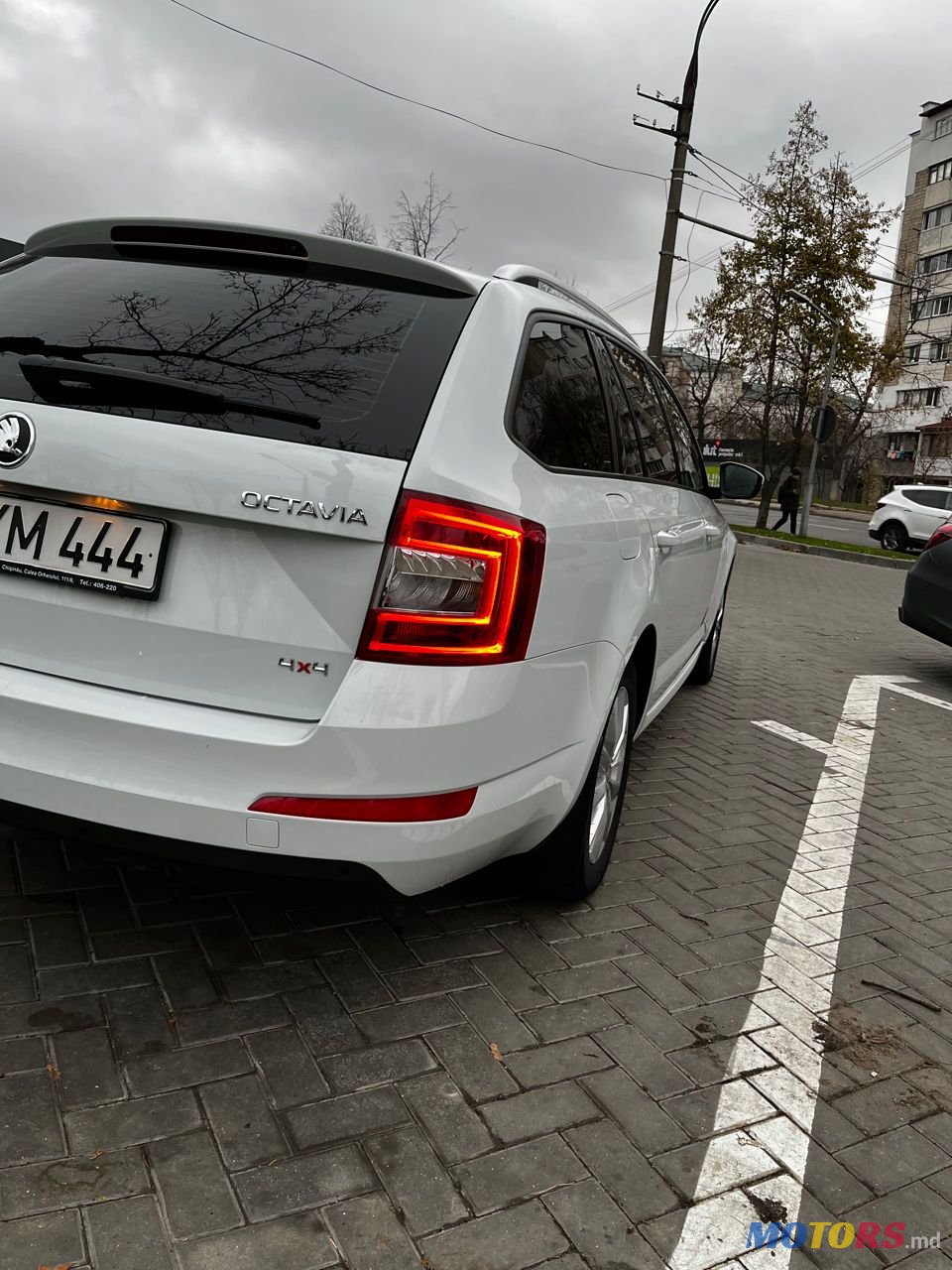 2014' Skoda Octavia photo #4