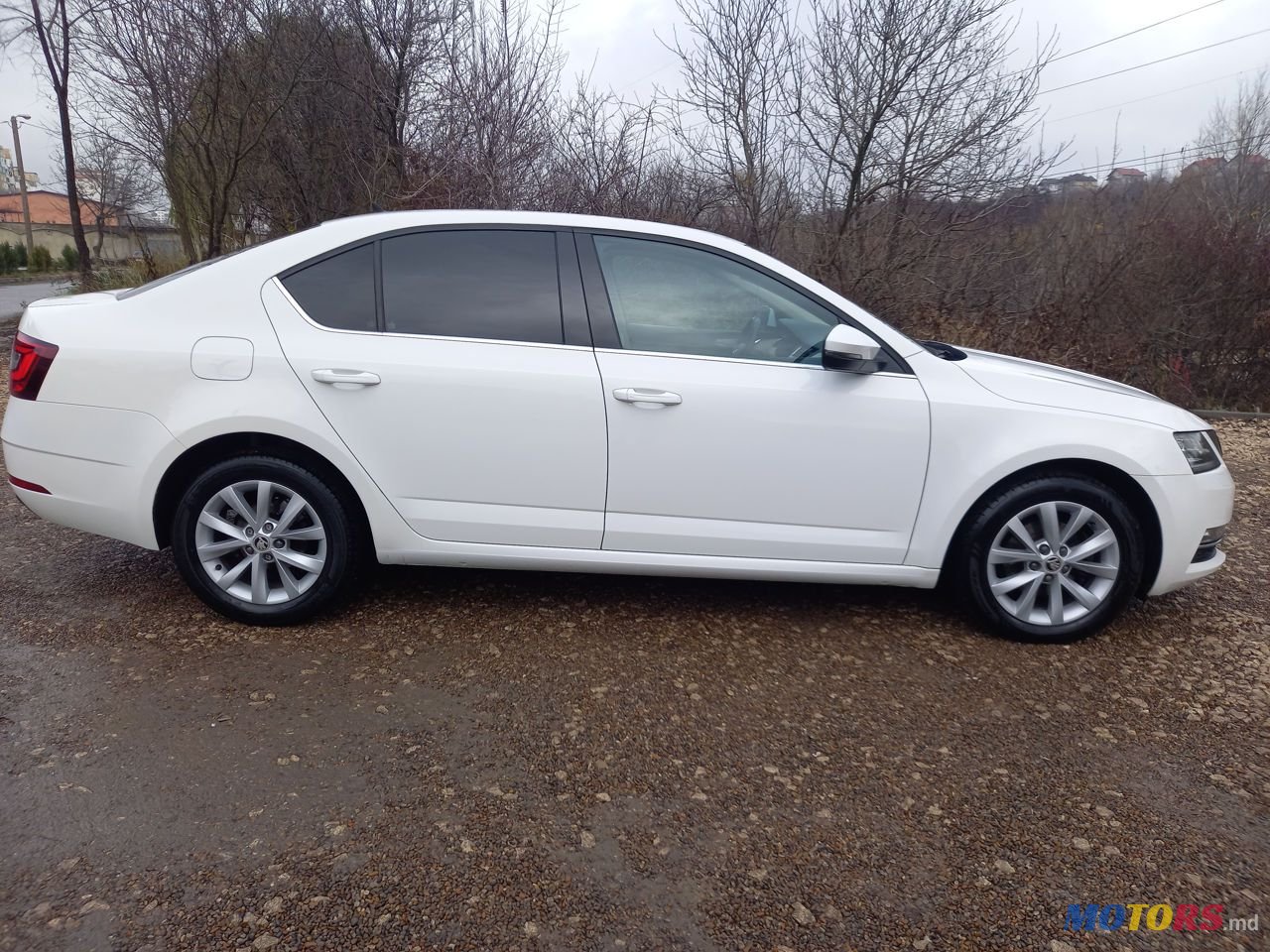 2017' Skoda Octavia photo #6