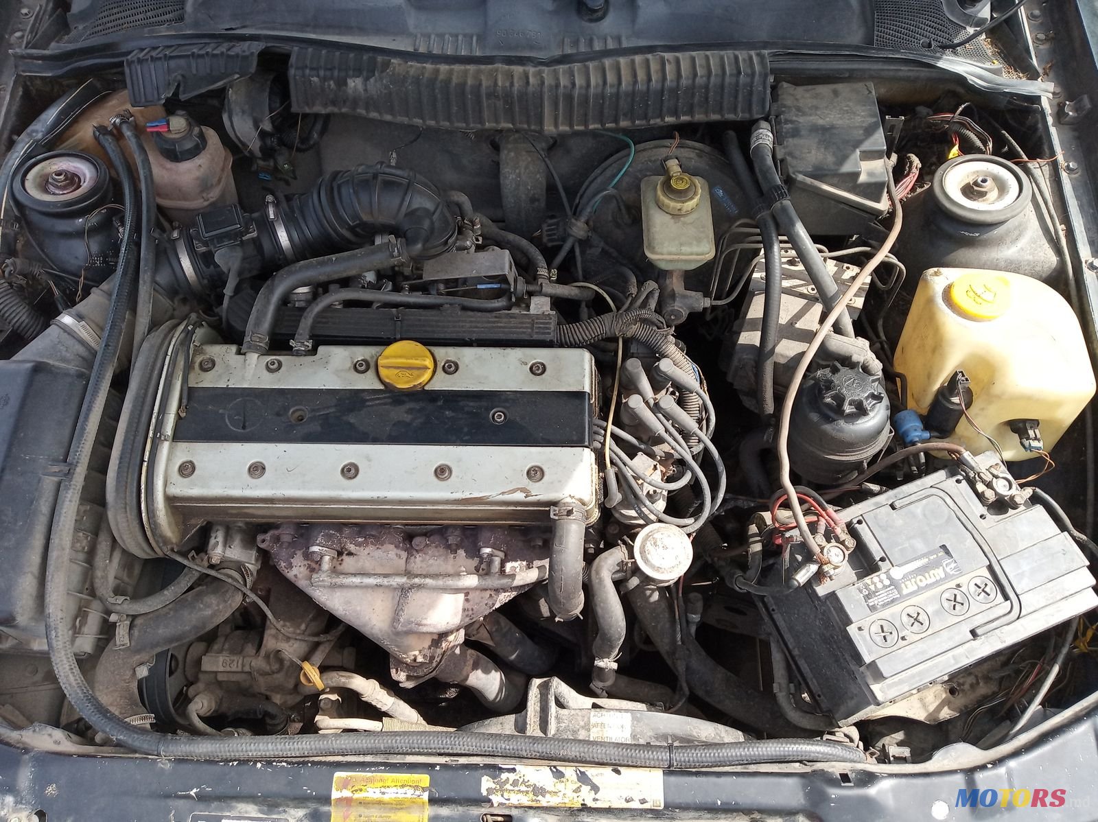 1996' Opel Calibra photo #4