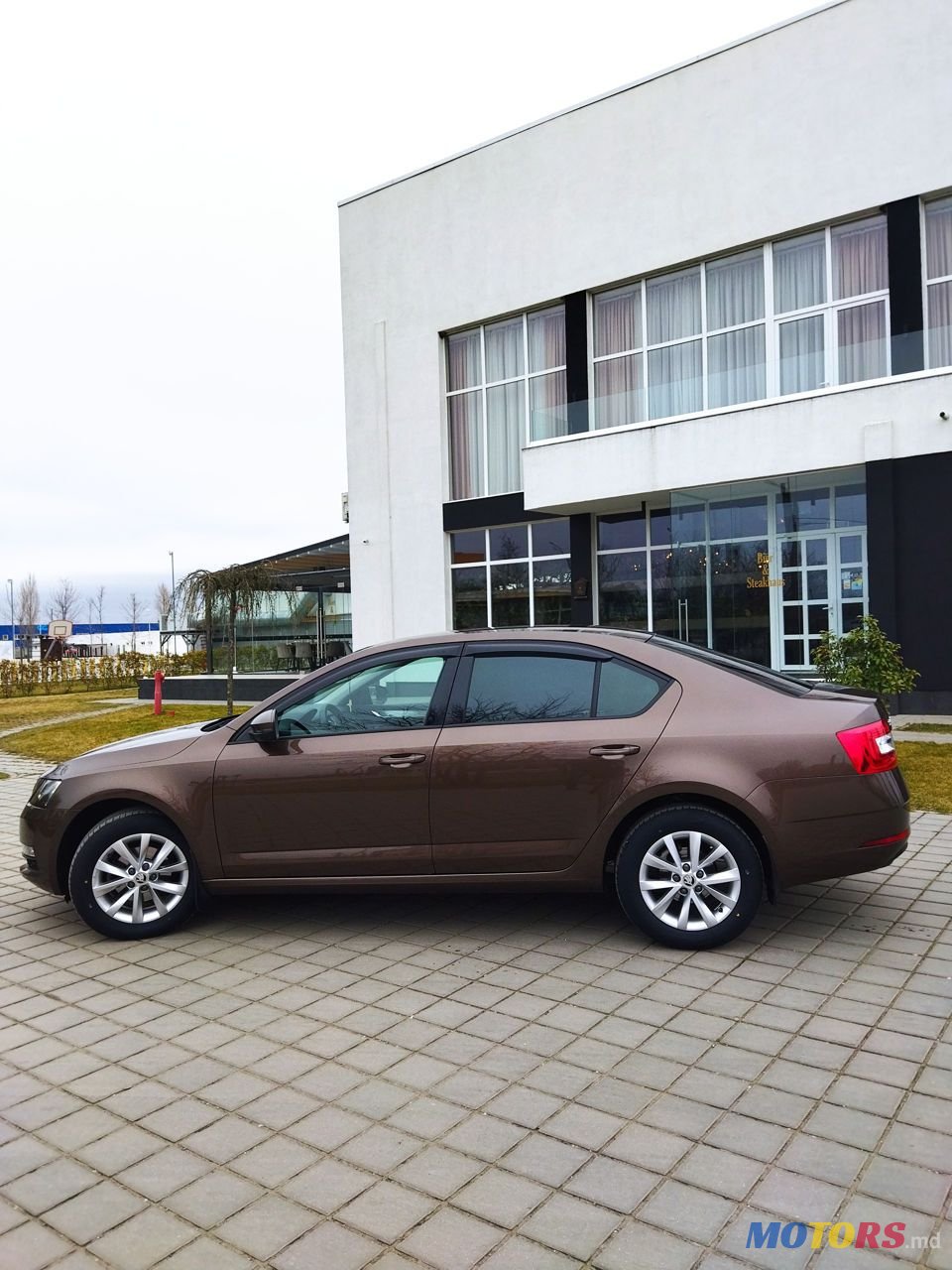 2019' Skoda Octavia photo #5