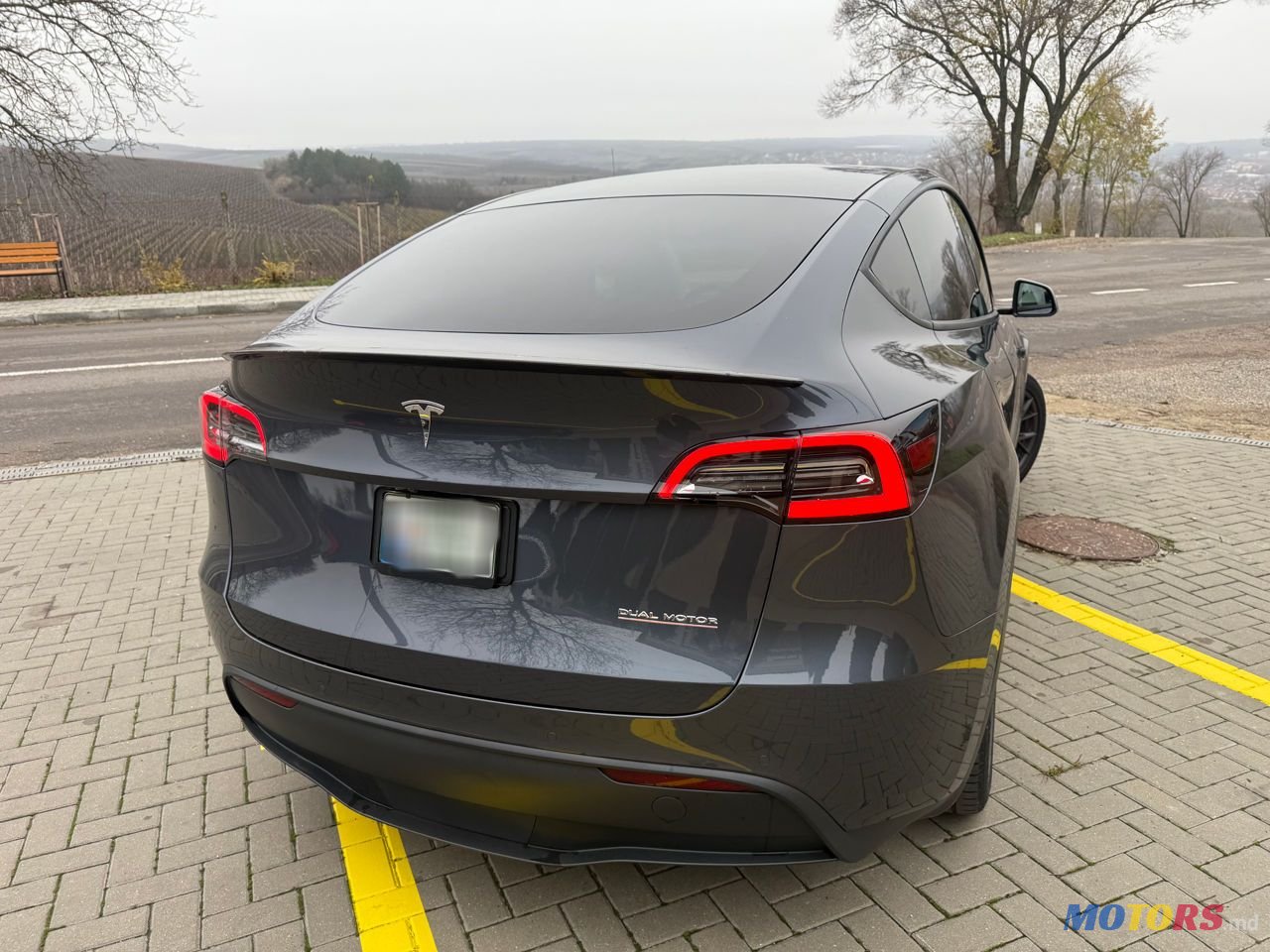 2020' Tesla Model Y photo #4
