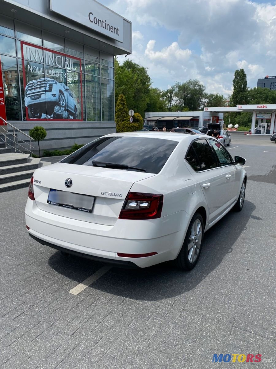 2018' Skoda Octavia photo #4