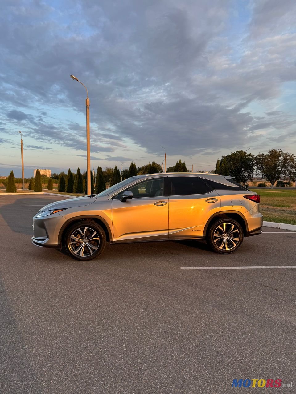 2021' Lexus Rx Series photo #4