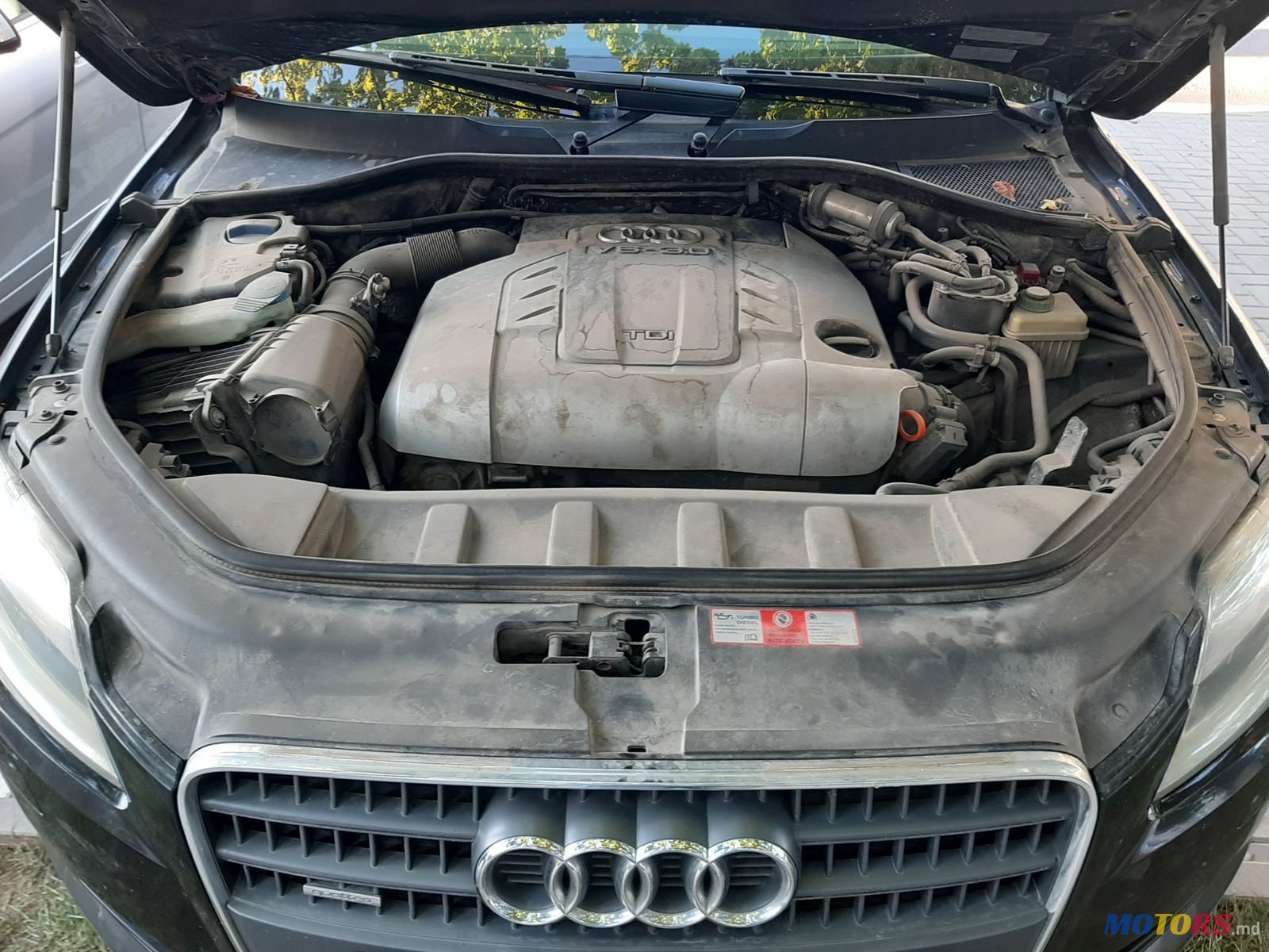 2008' Audi Q7 photo #7