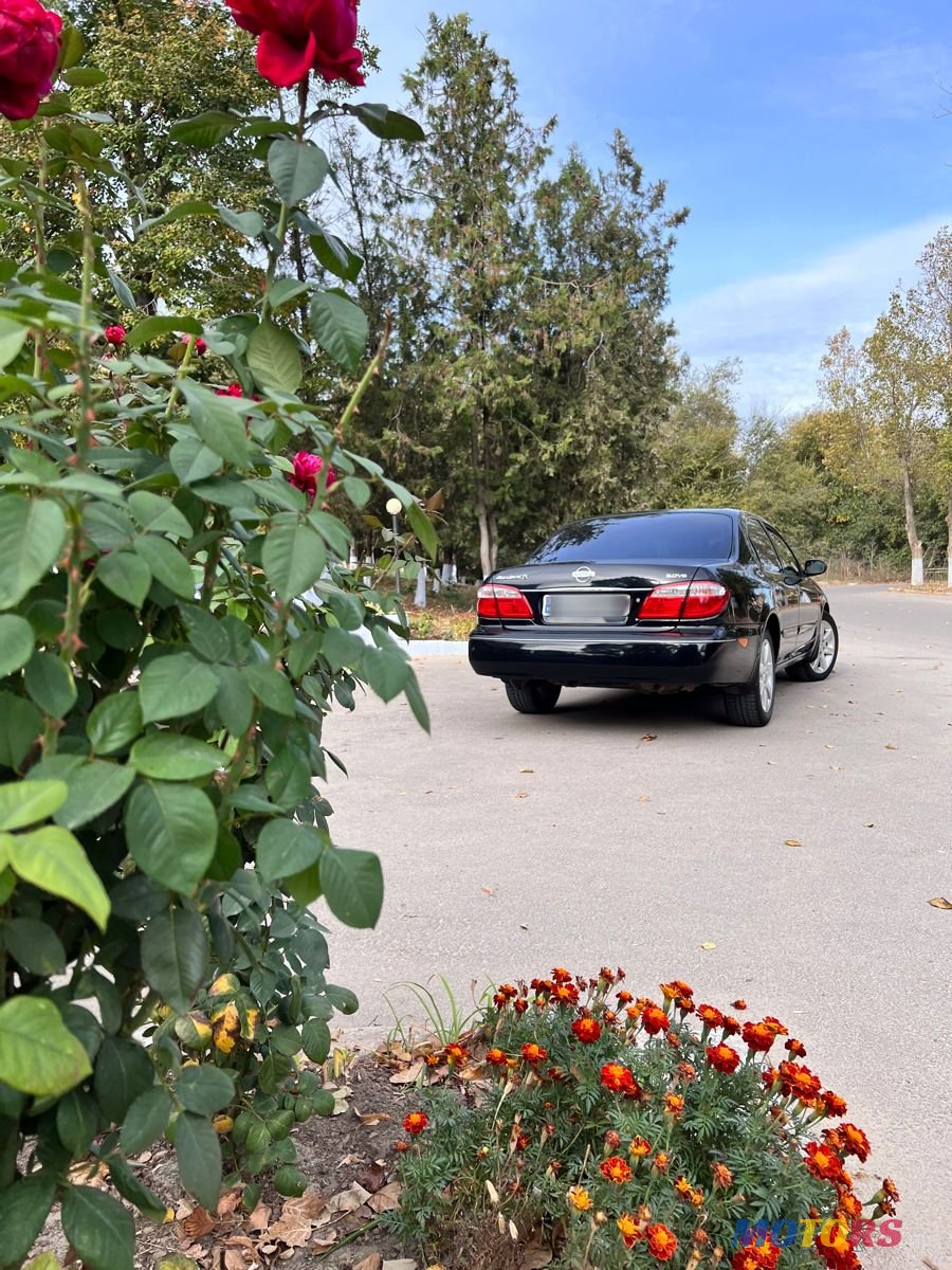 2003' Nissan Maxima photo #2