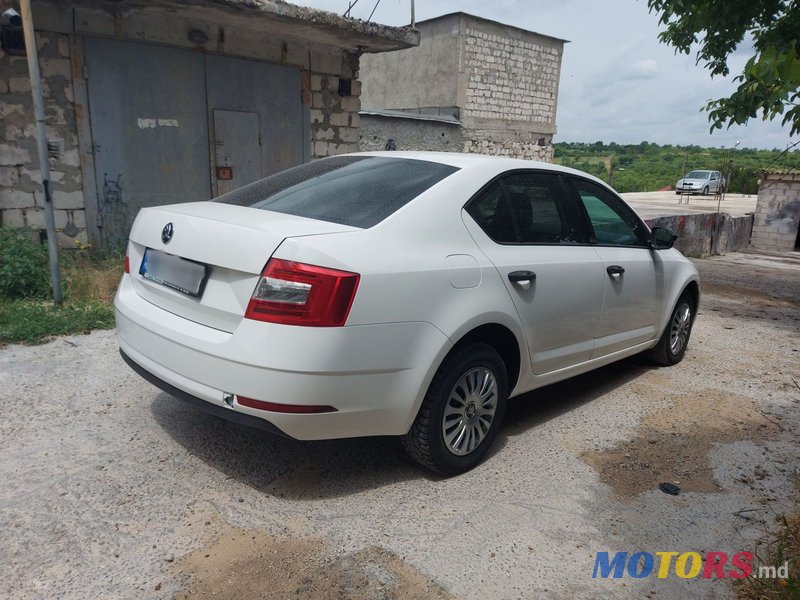 2017' Skoda Octavia photo #2