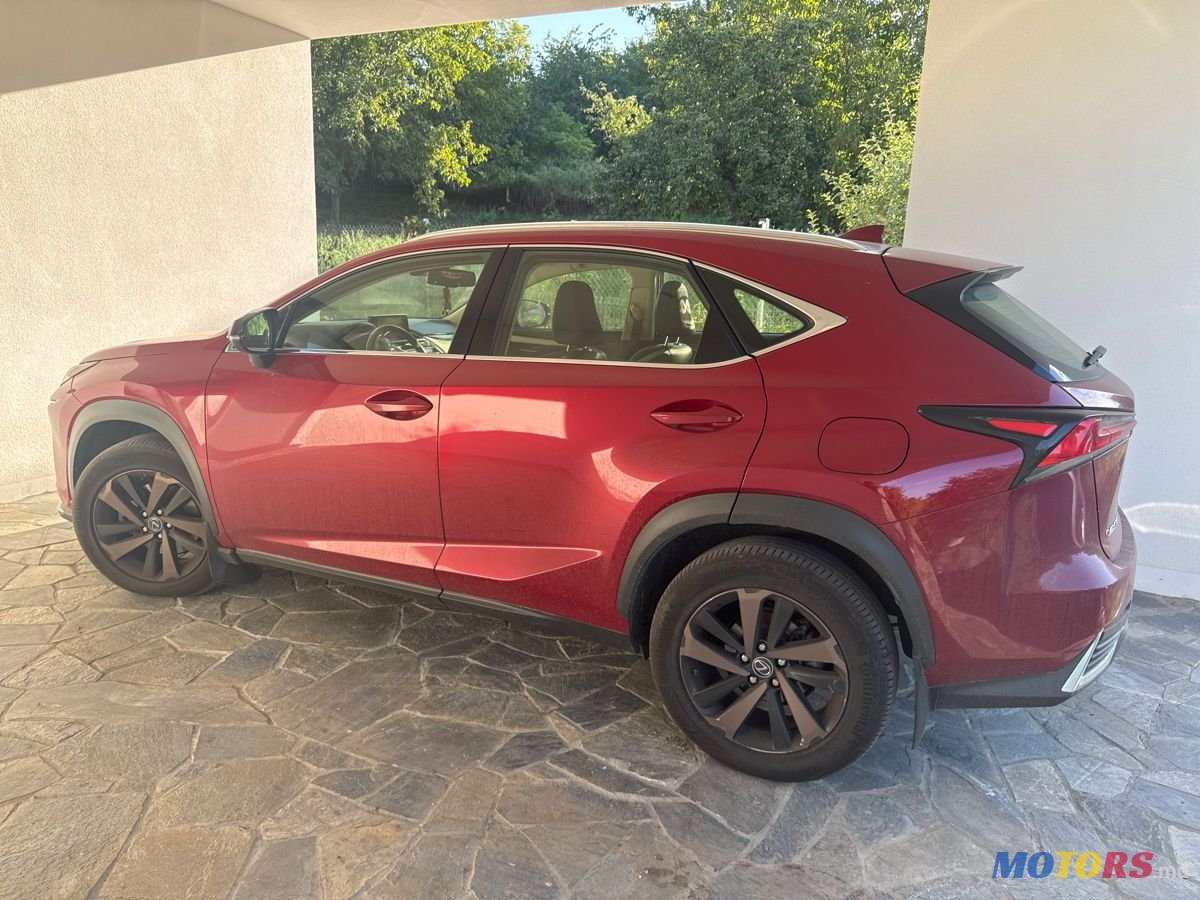 2021' Lexus Nx Series photo #1