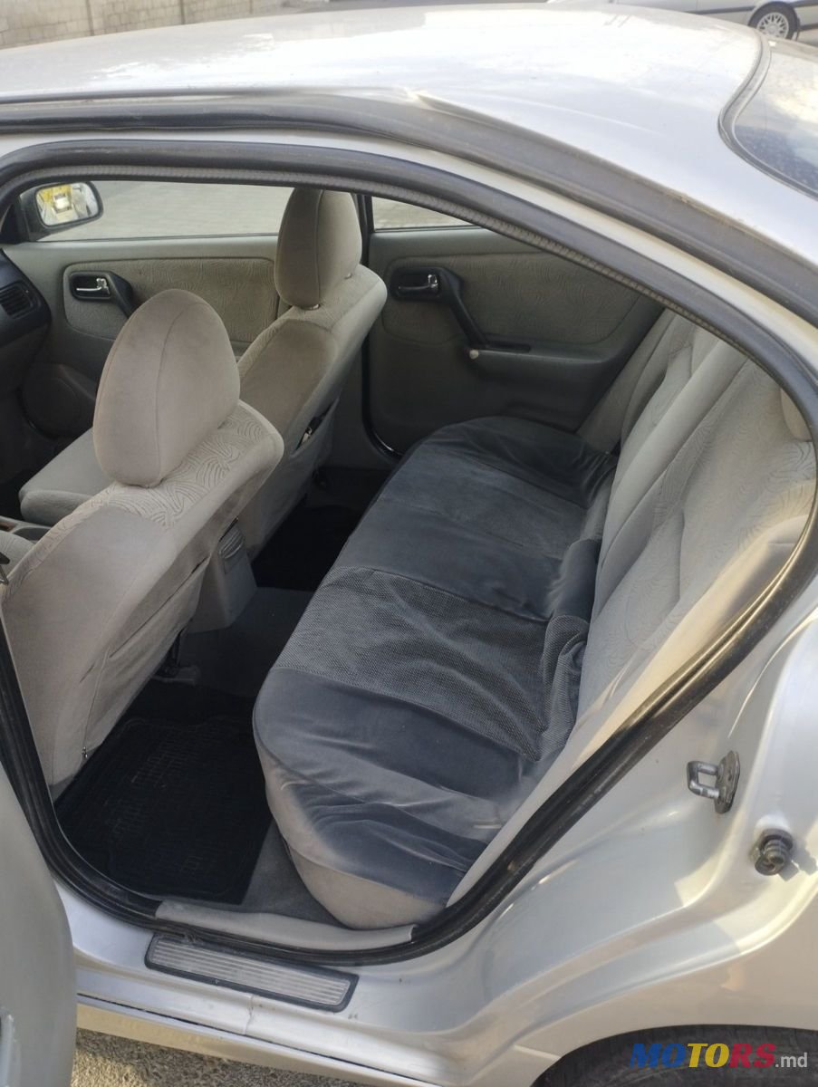 2001' Nissan Primera photo #5