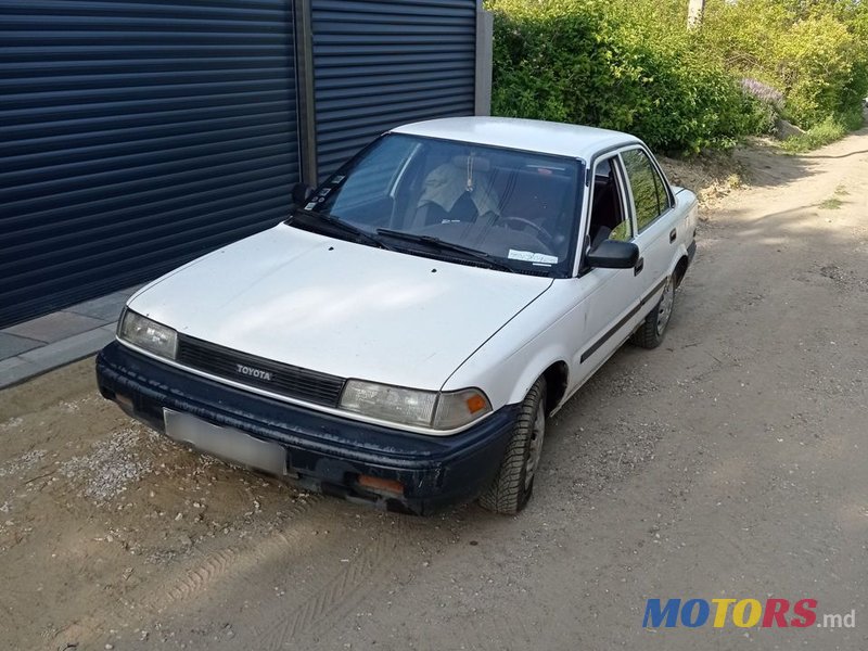 1988' Toyota Corolla photo #6